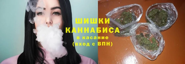 хмурый Абаза